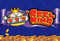 Игровые автоматы 4 Reel Kings